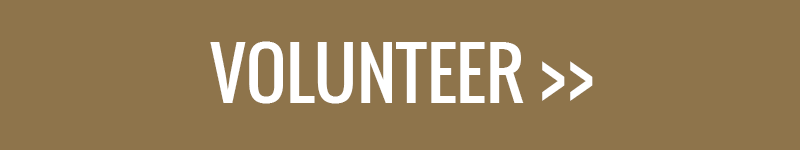 phi kappa sigma volunteer button